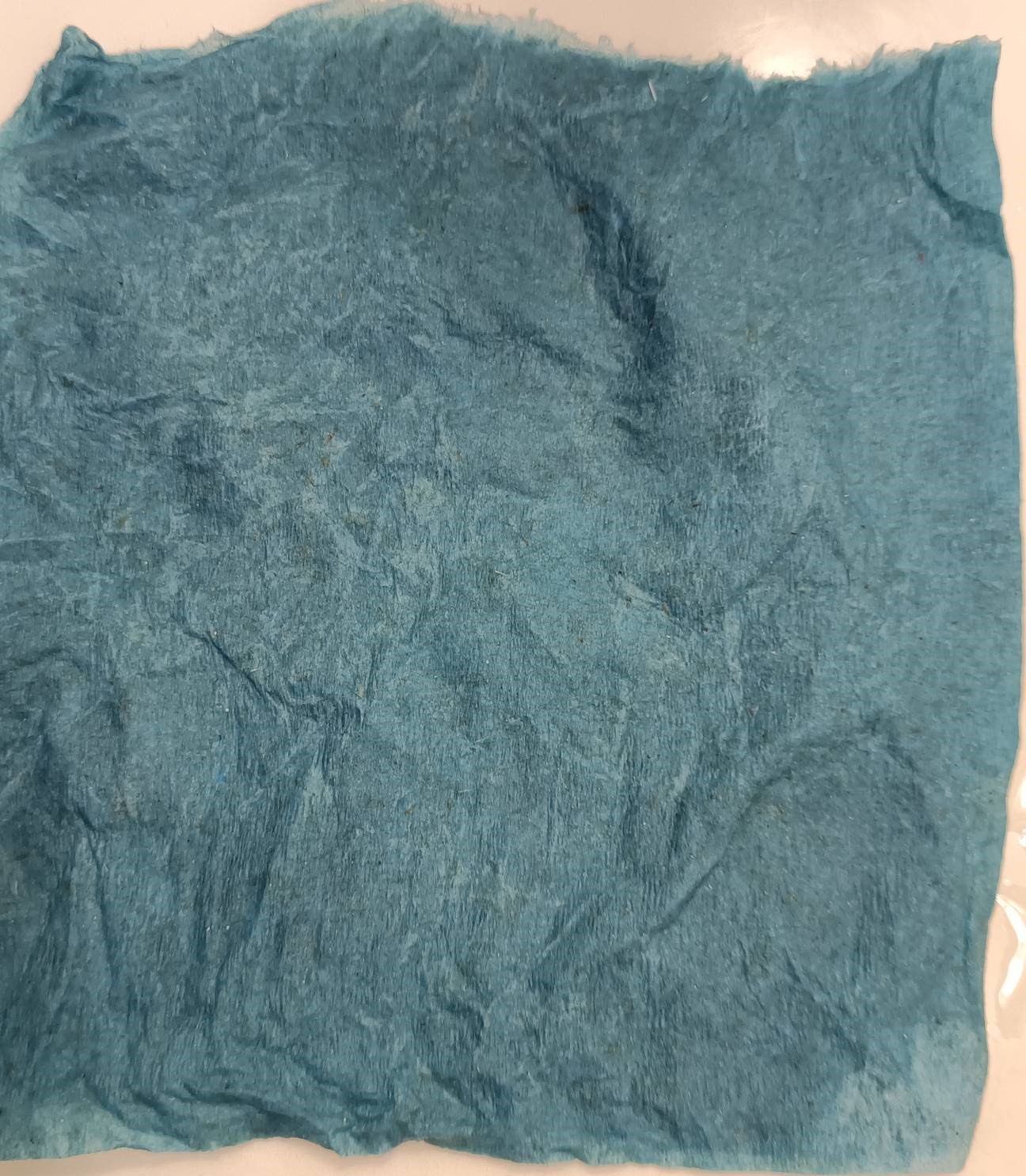 After Cleaning: No White Powder On Wet Shop Towel