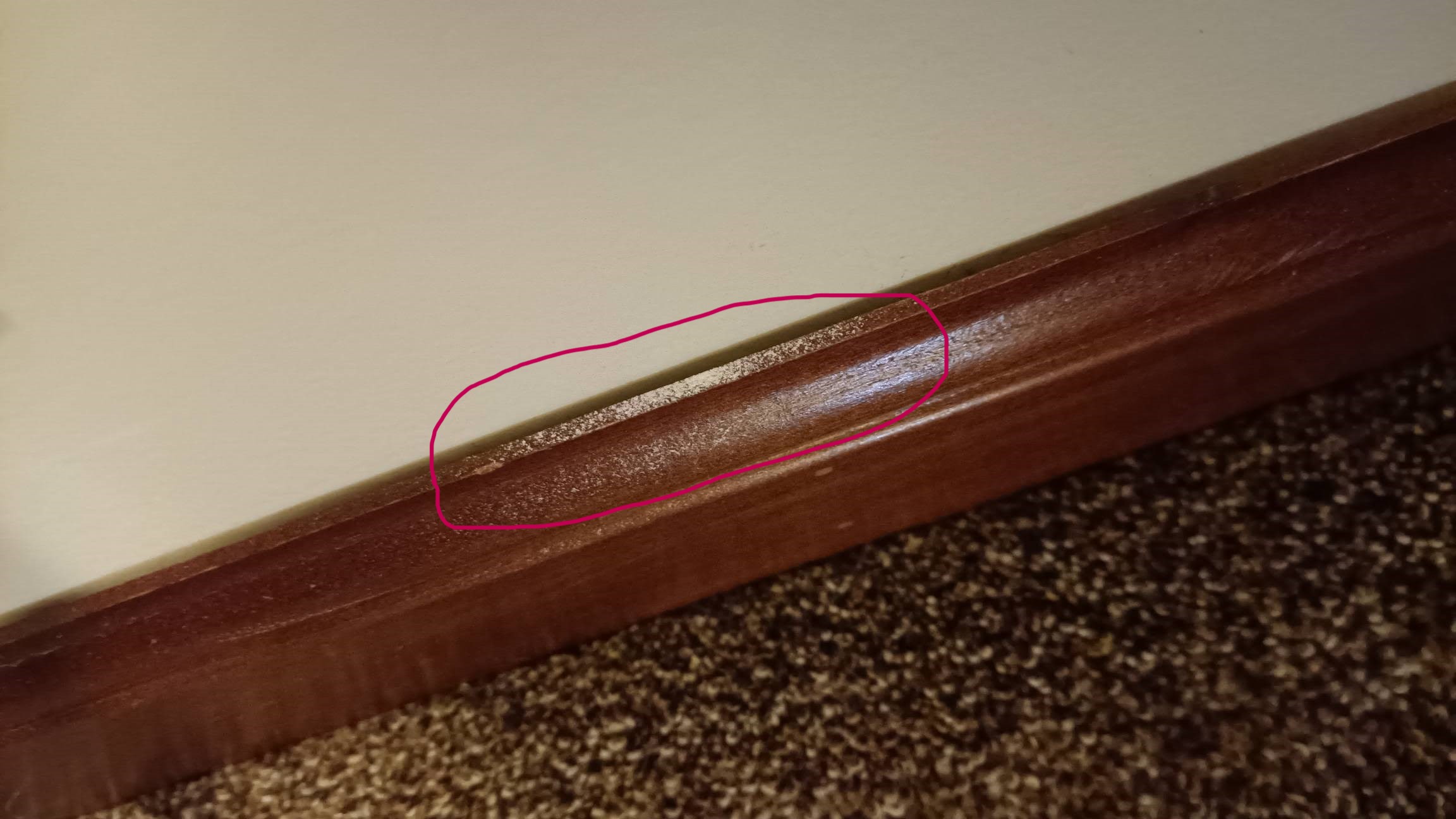 White Powder On Baseboard