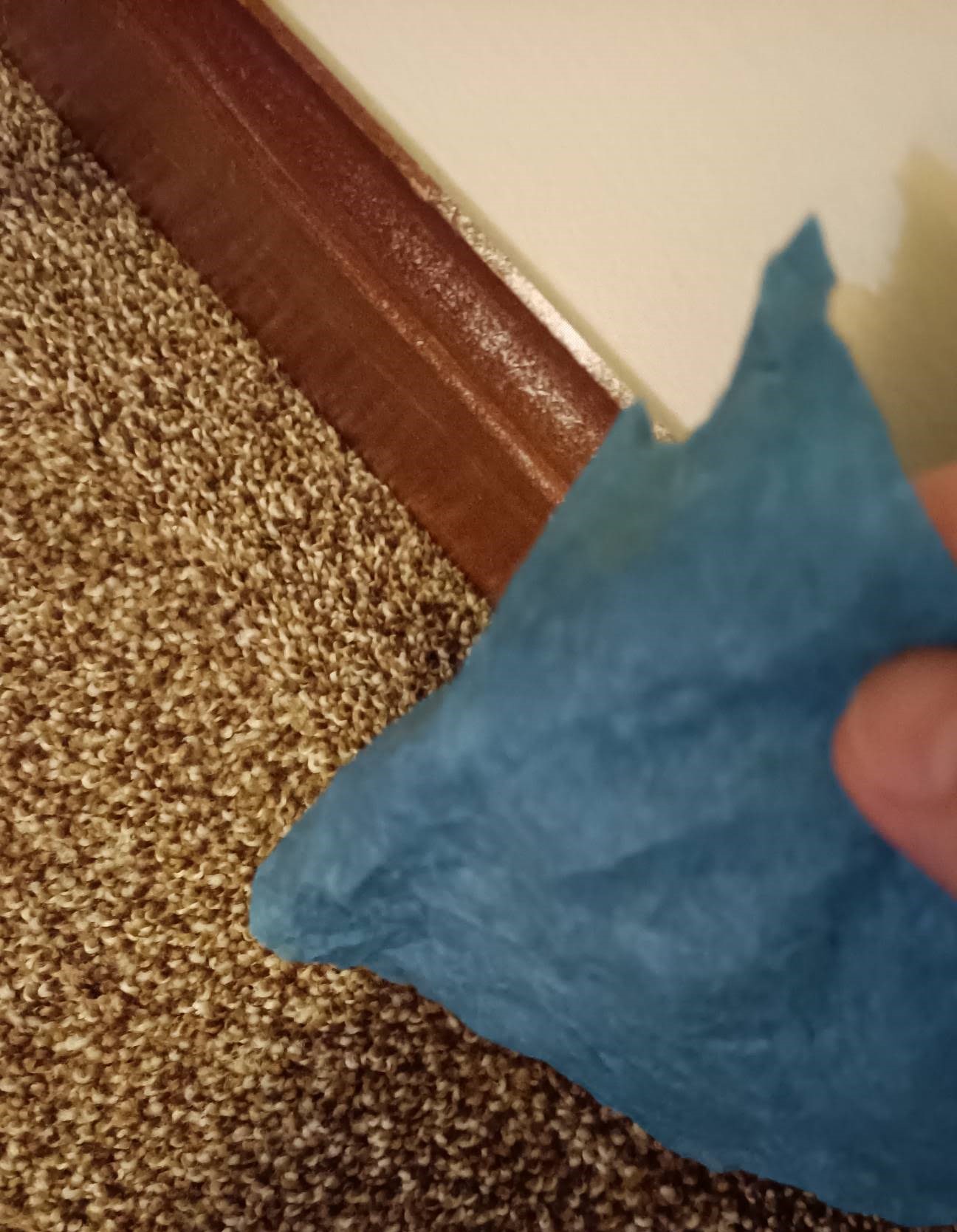 Wet, Blue Shop Towel to Clean the Powder